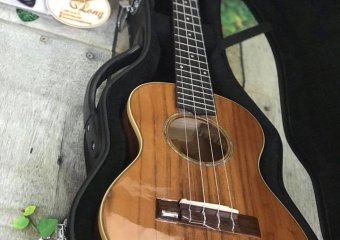 Đàn guitar Ekulele Custom Full điệp