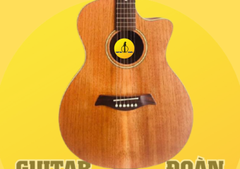 Sự Thật về đàn Guitar aucostic người mới học, mới tập chơi nên biết