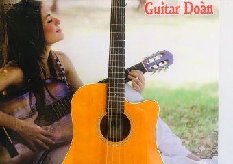 Đàn Guitar TANGLEWOOD 