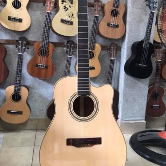 Đàn Guitar Acoustic tầm trung