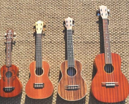 HƯỚNG DẪN MUA ĐÀN UKULELE CHO NGƯỜI MỚI TẬP CHƠI